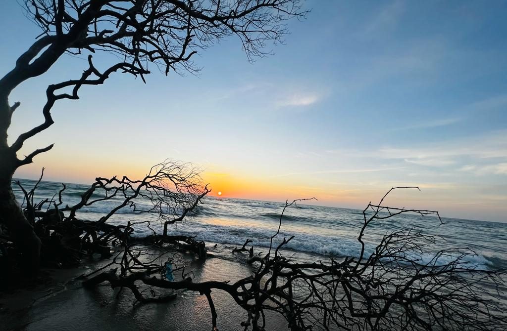 Dolphin watching Kalpitiya