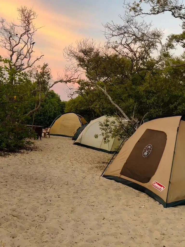 Ayale Baththalangunduwa Night Camping 